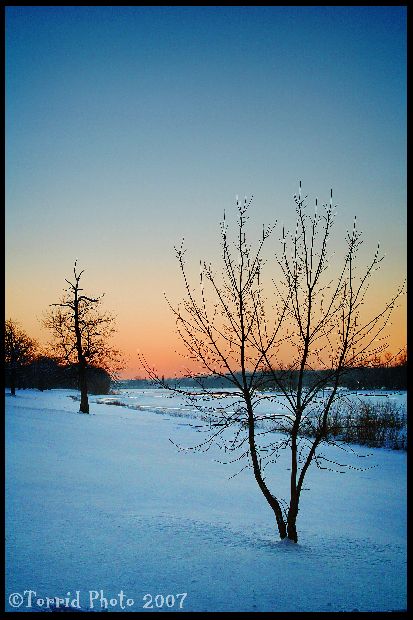 wintersunset025copy.jpg